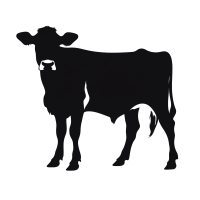 —Pngtree—cow silhouette isolated_14554772